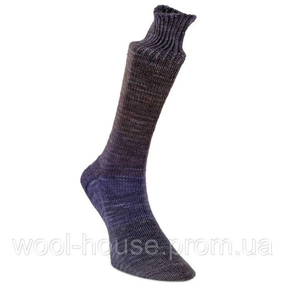 Шкарпеткова пряжа Laines du Nord Watercolor Sock, 106