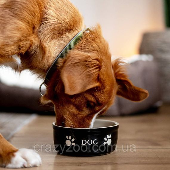Керамічна миска для собак Nobby 68764 "DOG" 130 мл чорно-бежева | Зображення 2