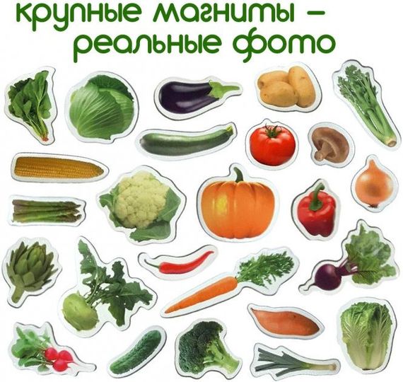 Набор магнитов Magdum "Овощи" ML4031-12 EN | Зображення 7