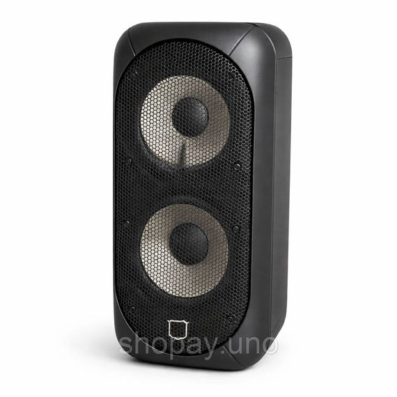 Колонка с встроенным микрофоном для выступлений, Хорошая bluetooth колонка, Караоке система для дома FN-83
