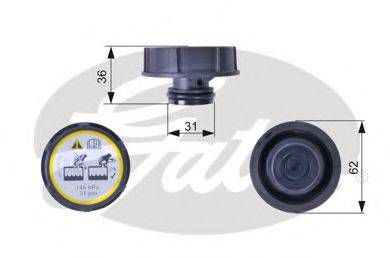 Кришка радіатора GATES RC240 на FORD C-MAX II (DXA/CB7, DXA/CEU)