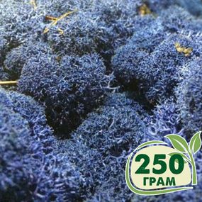 Стабілізований мох ягель Синій блакитний 250 грам