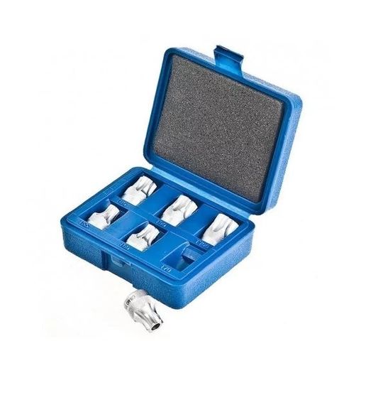 Набір біт  6пр. 1/2" DR зовнішній TORX T55-T100 SBB-406T TJG