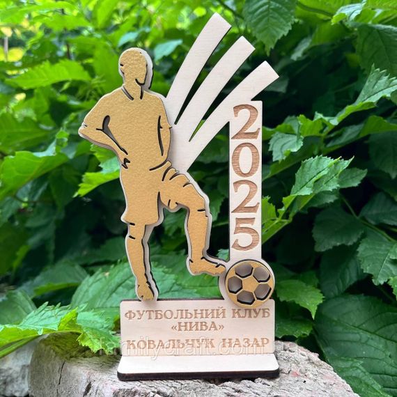 Іменний дерев’яний кубок-нагорода з гравіюванням за досягнення або активність | Зображення 1