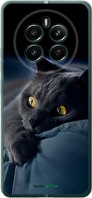 Чохол на Realme 12+ Димчастий кіт "825u-3650-2448"