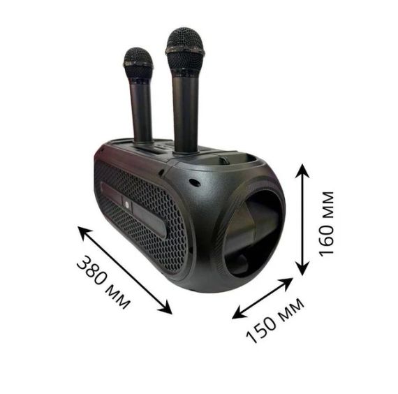 Портативна Bluetooth-колонка ZQS4247 16 Вт з 2 мікрофонами караоке USB TF FM AUX | Зображення 8