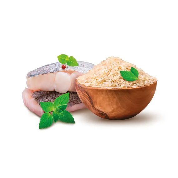 Гипоаллергенный сухой корм **HOME FOOD Hypoallergenic** для взрослых собак крупных пород с форелью и рисом, 10 кг | Зображення 1