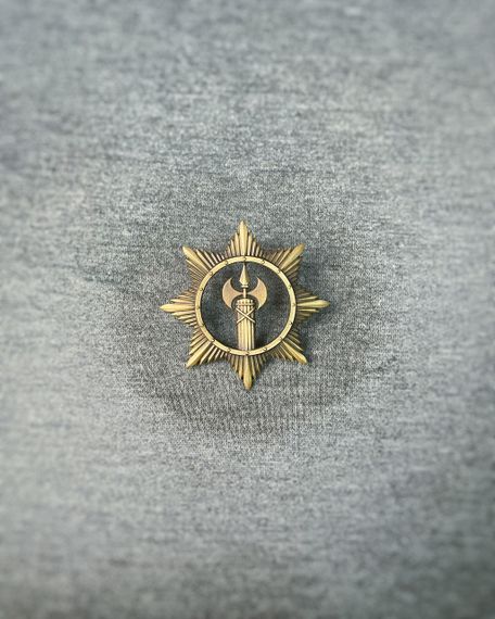 Беретний знак ВСП латунь | Зображення 1