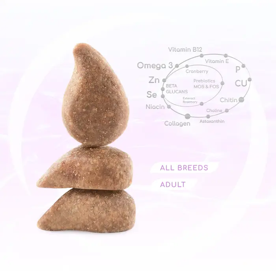 Сухий корм Optimeal Beauty Harmony для дорослих котів із заспокійливим ефектом, морепродукти 1.5кг | Зображення 1