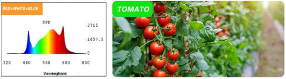 Светильник для растений FLF-09 LED 9W Fito GROW (Red+White+Blue) | Зображення 1