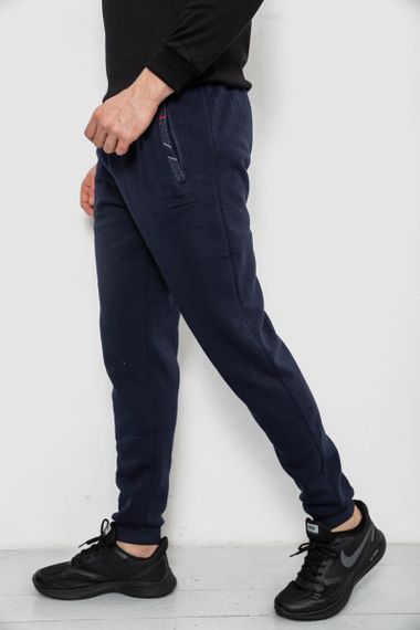 Спортивные штаны мужские на флисе, цвет синий, 244R41553 | Зображення 2