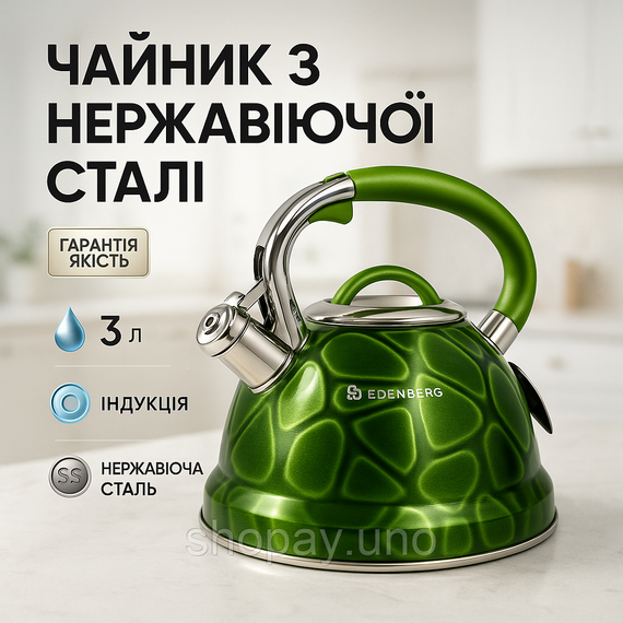 Чайник для газовой плиты 3 л литра Edenberg, Чайник из нержавеющей стали с пищалкой UK-23