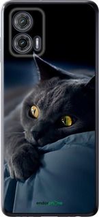 Чохол на Motorola G73 Димчастий кіт "825u-3196-2448"