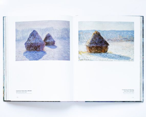 Книга про життя і творчість Клода Моне Monet. Light chaser of nuance живопис книги | Зображення 2
