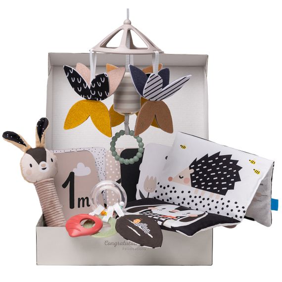 Черно-Белая Гармония: Подарочный Baby-box для новорожденных