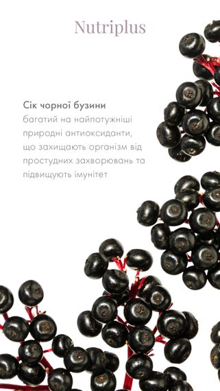 Шипуча Чорна бузина Farmasi у таблетках Nutriplus 15 шт | Зображення 1
