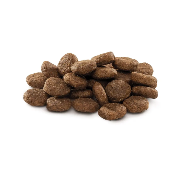 Сухой корм Brit Premium Dog Junior L для щенков больших пород в возрасте от 1 до 24 месяцев,курица 15 кг | Зображення 1