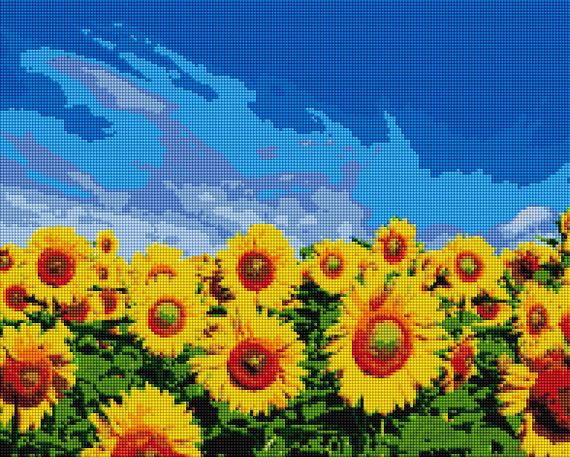 Поле соняшників