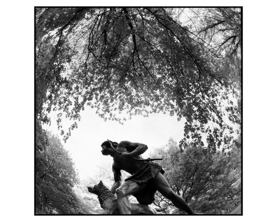 Книга альбом відомих фотографів з фотографіями Брюса Девідсона Bruce Davidson "Central Park" Б/У | Зображення 4