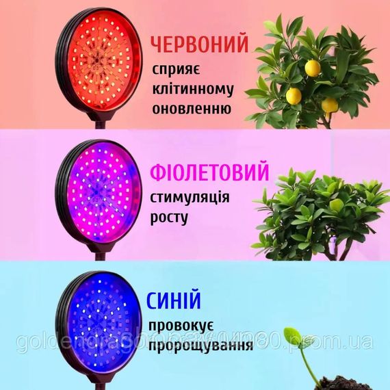 Фитолампа для растений с таймером и регулировкой яркости • Круглая LED лампа для цветов на 4 головки | Зображення 4