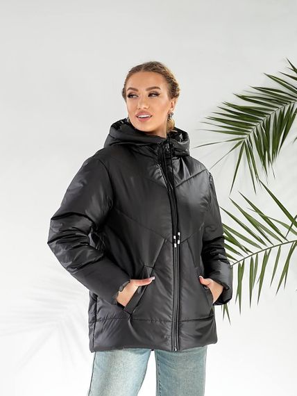 Утеплена куртка, арт.417/1, чорний | Зображення 1