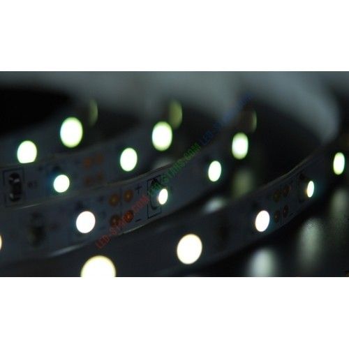 Лента светодиодная (тепло-белая) 4,8W SMD3528 (60 LED/м) Indoor IP20 | Зображення 1