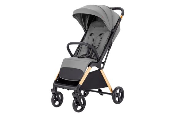 Коляска прогулянкова CRL-5523 "Cross" Owl Grey CARRELLO