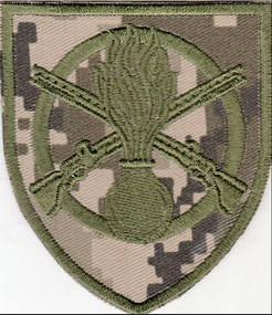 Шеврон 22 ОМПБ (піксель)