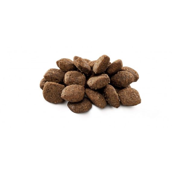 Корм сухий Brit Premium Dog Sensitive Lamb для собак з чутливим травленням з ягням 15 кг | Зображення 1
