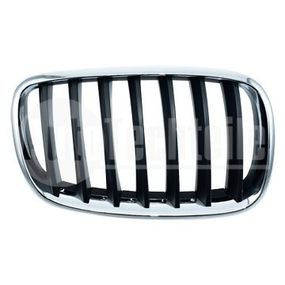 Решетка радиатора правая BMW X5 E70 06-13 / X6 E71 07-14 (хром./чёрн.), AutoTechteile, 700 0336, 700 0300
