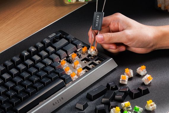 Клавіатура Razer BlackWidow V4 75% RGB 83key Mechanical Tactile Switch GEN-3 RZ03-05000100-R3M1 | Зображення 8