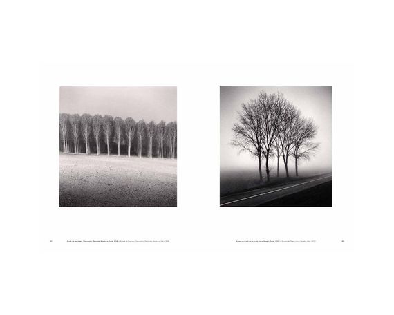 Книга Michael Kenna: Trees / Arbres (Signed) | Зображення 3