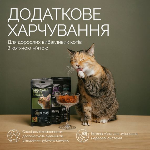 Хрумкі ласощі Savory Cats Snacks Crunchy Balls для дорослих вибагливих котів, кульки з котячою м ятою, 60 г | Зображення 2