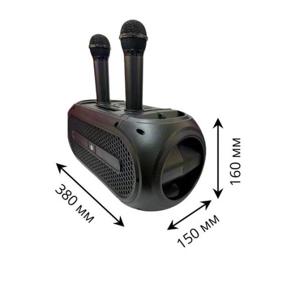 Портативная Bluetooth колонка ZQS4247 16Вт с 2 микрофонами караоке USB TF FM AUX | Зображення 8