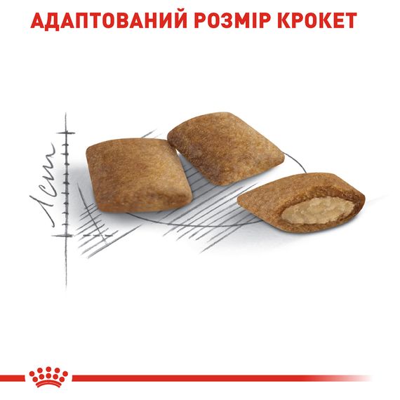 Сухий корм для зрілих котів старше 12 років Royal Canin Ageing +12 2 кг | Зображення 4