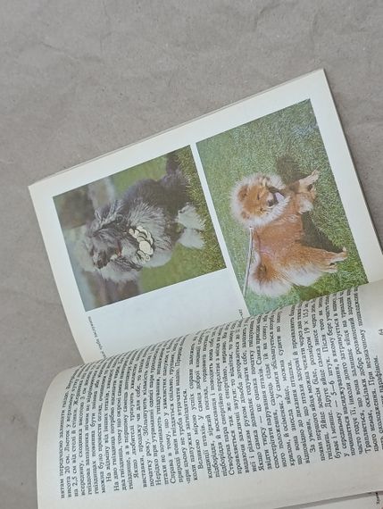 Кімнатні тварини Р.С. Токарєва, Т.А. Литвинова, О.О.Соколов 1994 | Зображення 6