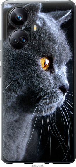 Чехол на Realme 10 Pro Plus Красивый кот "3038u-2944-17620"