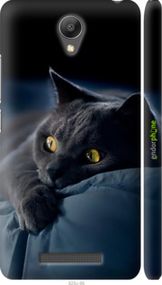 Чохол на Xiaomi Redmi Note 2 Димчастий кіт "825m-96-2448"