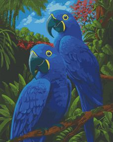 Картина за номерами Art Craft "Блакитні ари" 40х50 см 11639-AC