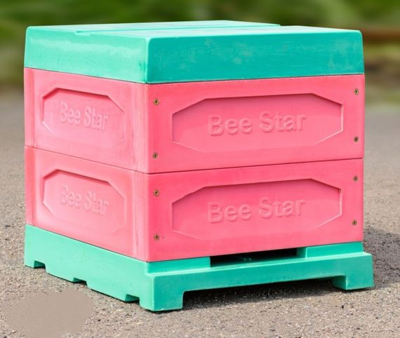 Улей ППУ «BeeStar» (2 магазин на 10 рамок) — кольоровий | Зображення 3