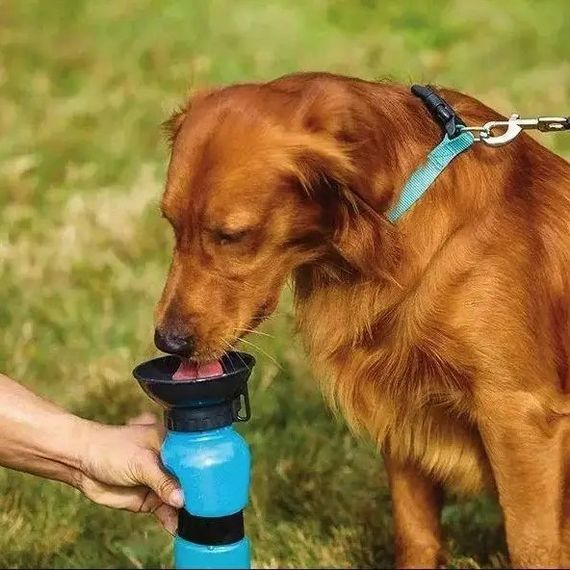 Поилка для собак дорожная переносная Aqua Dog 537 мл портативная бутылка для крупных и мелких собак FS-97 DW-72 | Зображення 3