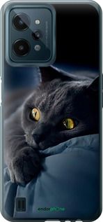 Чохол на Realme C31 Димчастий кіт "825u-2593-2448"