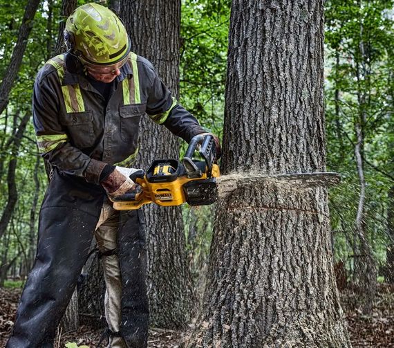 Акумуляторна міні-пилка DeWalt без АКБ та ЗП DCMCS575N | Зображення 1