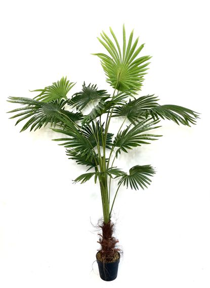 Пальма Ливистона искусственная 180 см в горшке