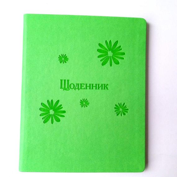 Щоденник шкільний А5 тверда обкладинка штучна шкіра