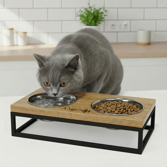 Миски на подставке для маленьких собак и котов Hollky Base S (2 × 0,45 л) BS-36187-BLNT | Зображення 1