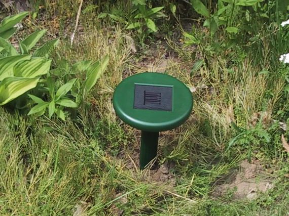Відлякувач гризунів на сонячній батареї Solar Rodent Repeller | Зображення 4