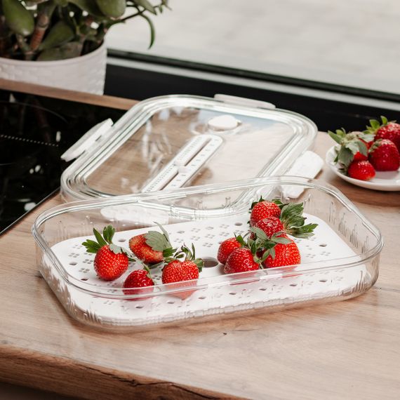 Контейнер для їжі пластиковий 32.5х22.5х6 см Білий HP-27-6 | Зображення 2