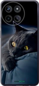 Чохол на Realme Realme 11 Димчастий кіт "825u-3120-2448"