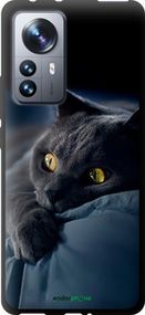 Чохол на Xiaomi 12 Pro Димчастий кіт "825b-2560-2448"